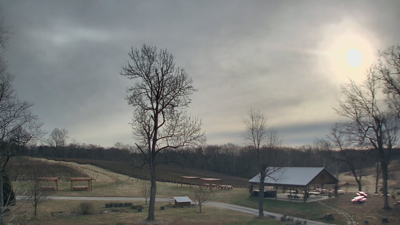 Thumbnail for current weather camera view from Dodon Vineyards in Davidsonville, Maryland