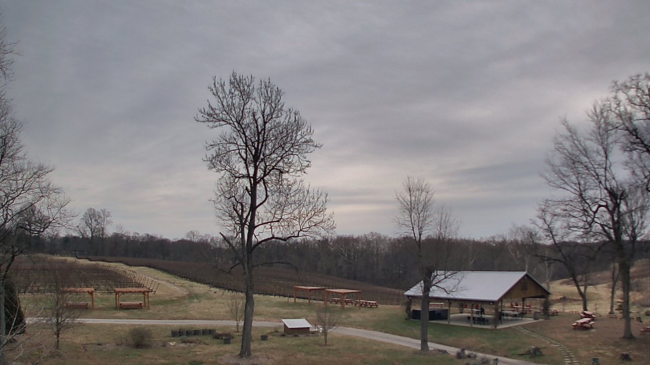 Thumbnail for current weather camera view from Dodon Vineyards in Davidsonville, Maryland