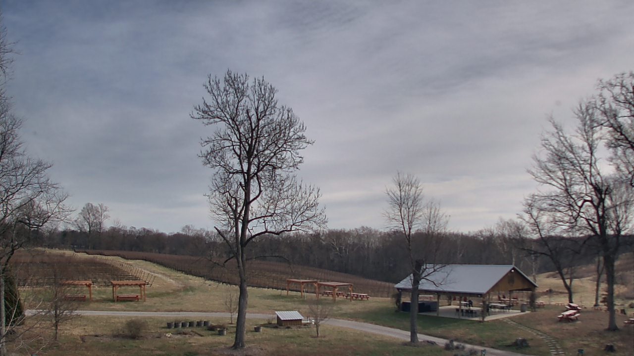 Thumbnail for current weather camera view from Dodon Vineyards in Davidsonville, Maryland