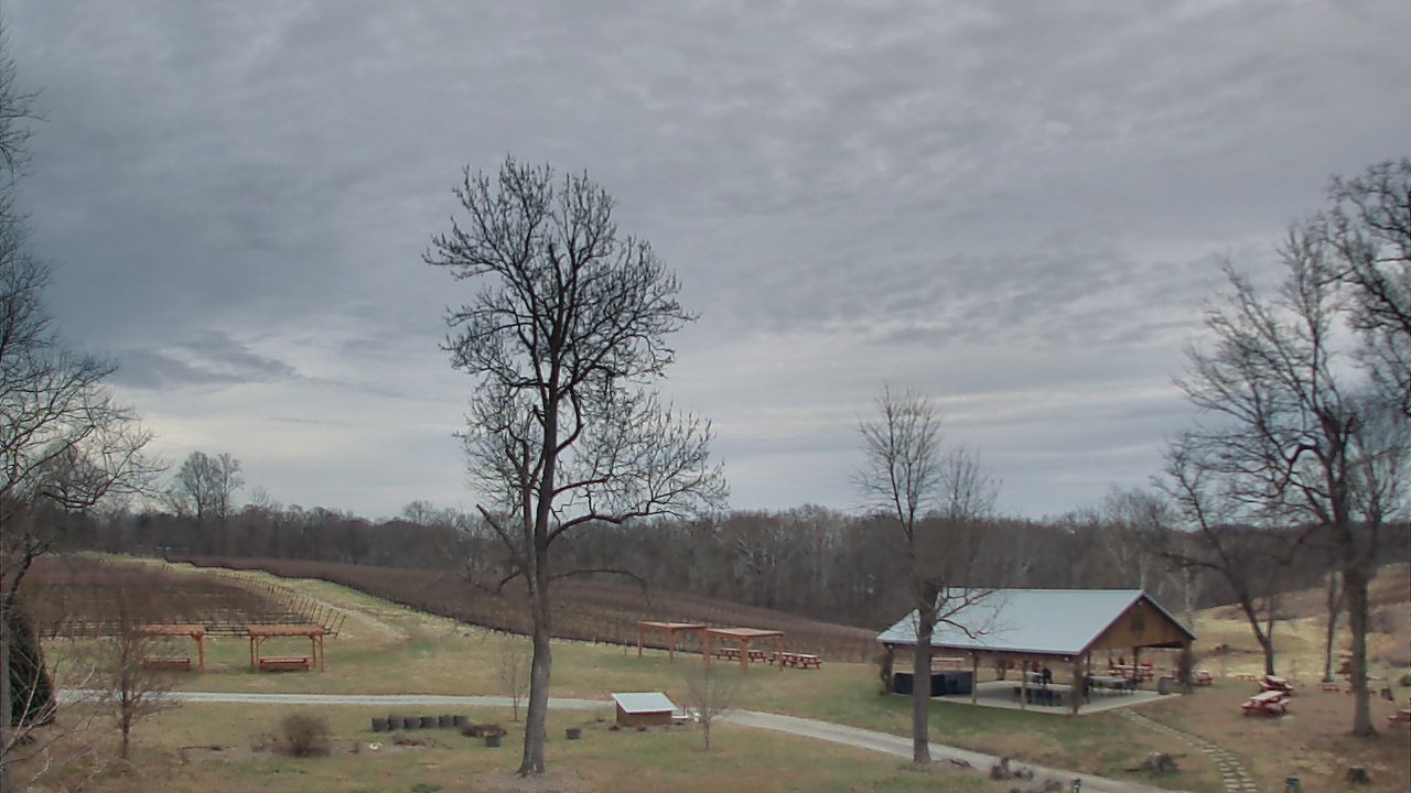 Thumbnail for current weather camera view from Dodon Vineyards in Davidsonville, Maryland