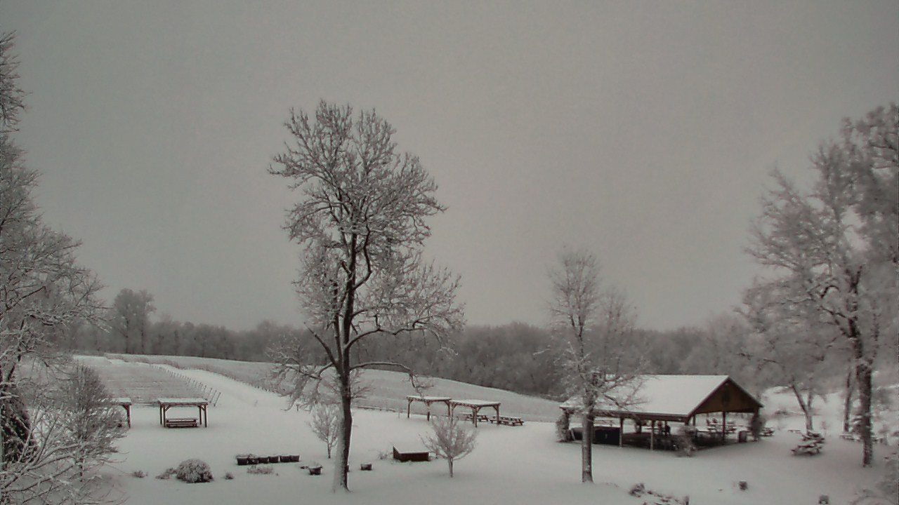 Thumbnail for current weather camera view from Dodon Vineyards in Davidsonville, Maryland