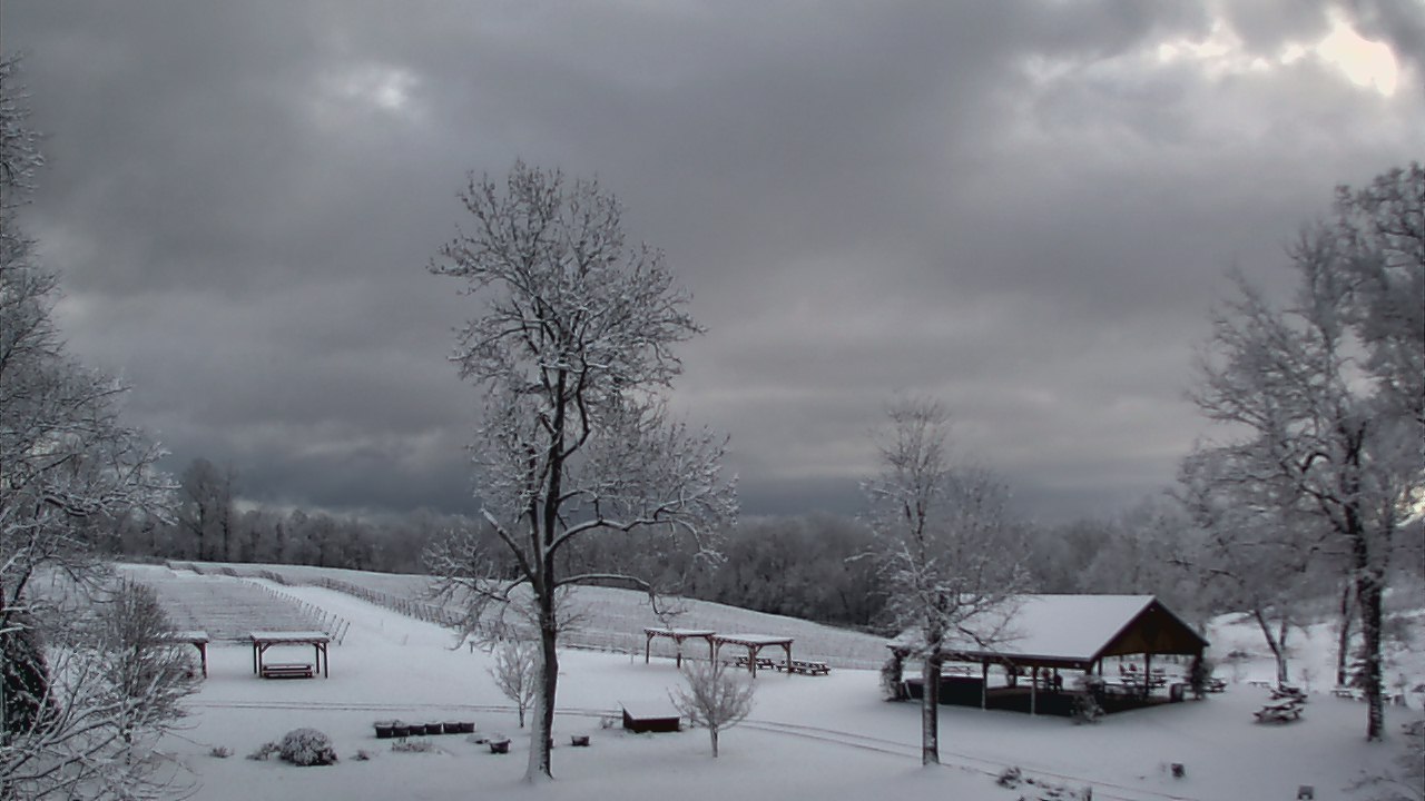 Thumbnail for current weather camera view from Dodon Vineyards in Davidsonville, Maryland