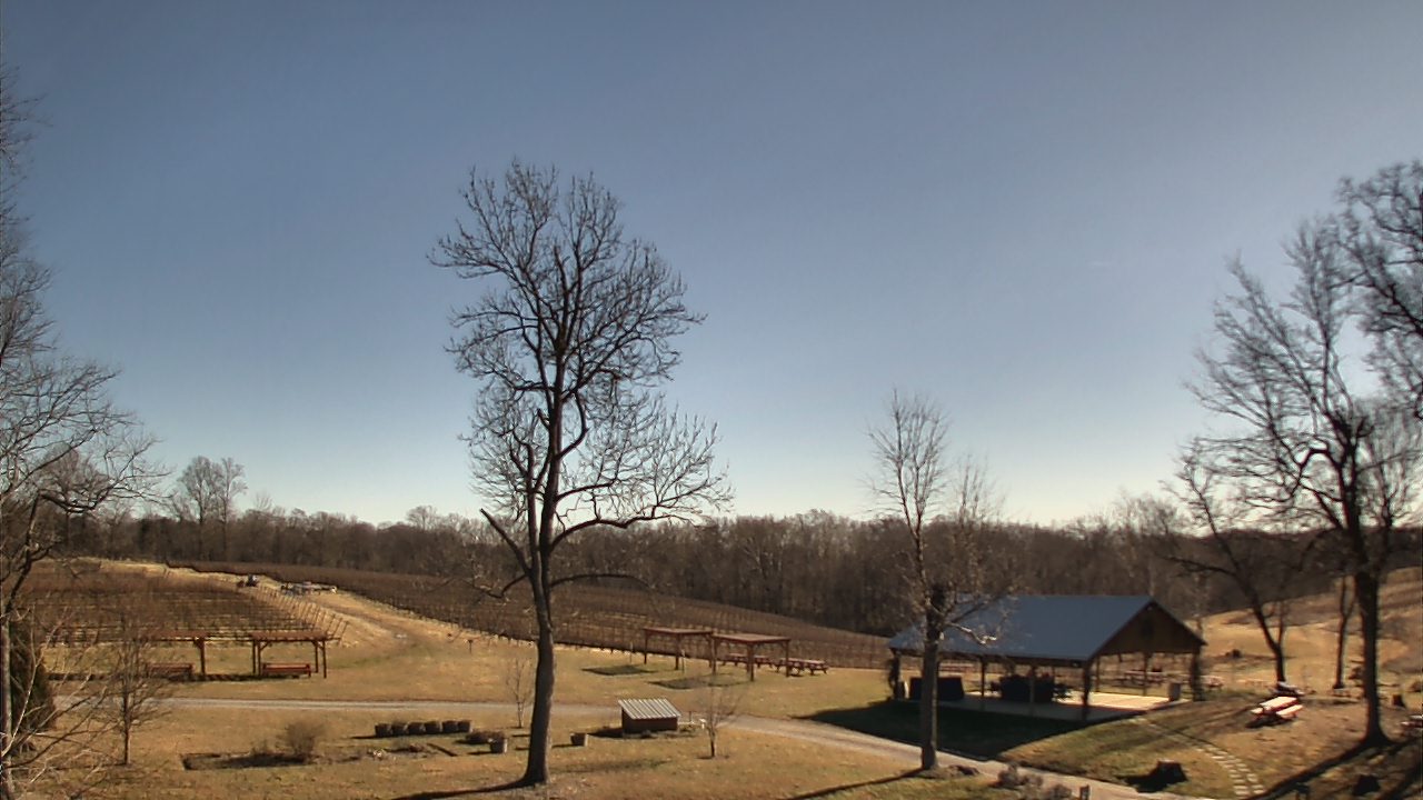 Thumbnail for current weather camera view from Dodon Vineyards in Davidsonville, Maryland