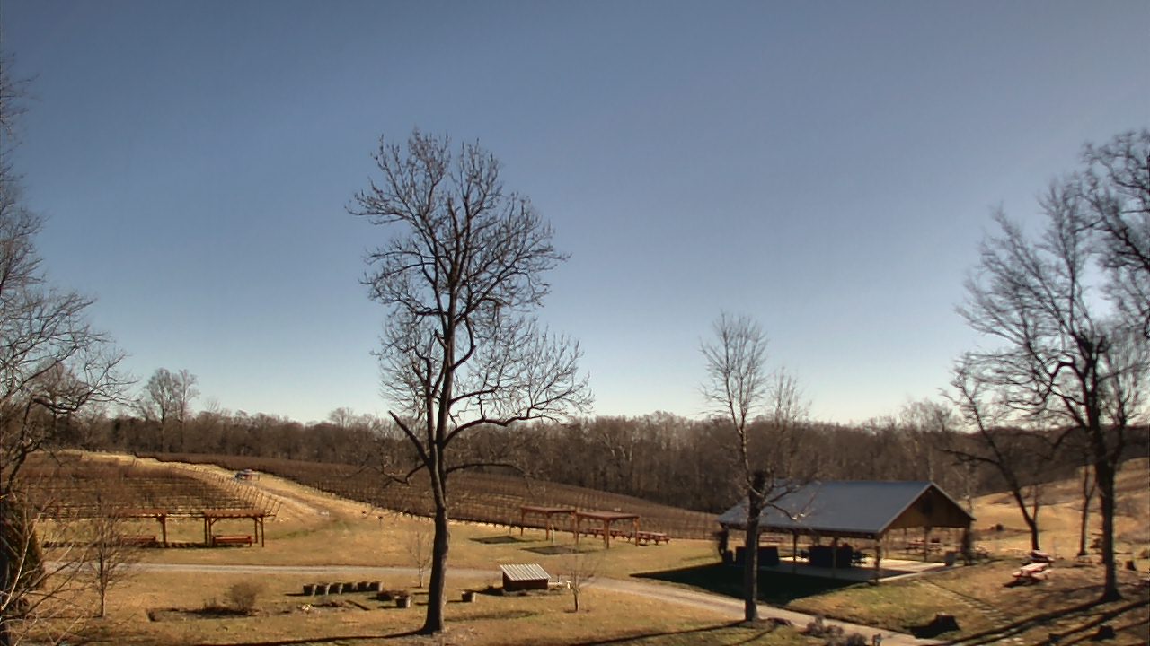 Thumbnail for current weather camera view from Dodon Vineyards in Davidsonville, Maryland