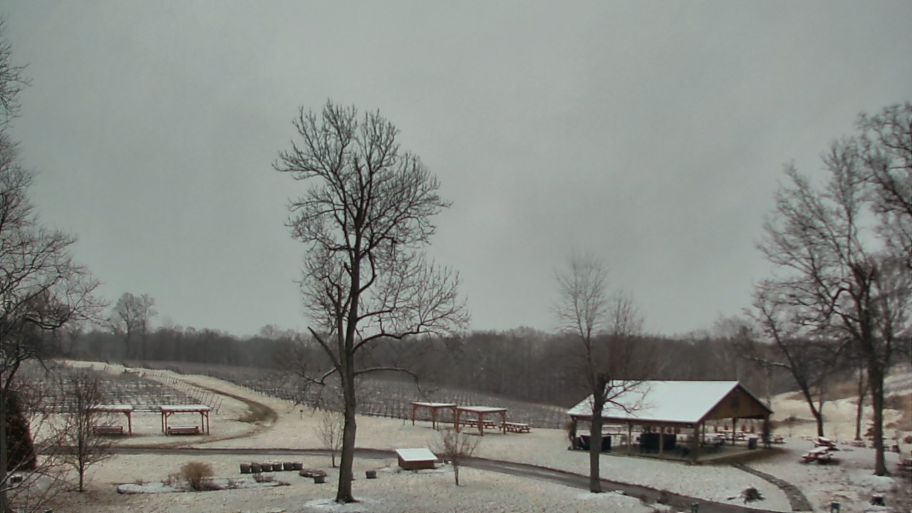 Thumbnail for current weather camera view from Dodon Vineyards in Davidsonville, Maryland