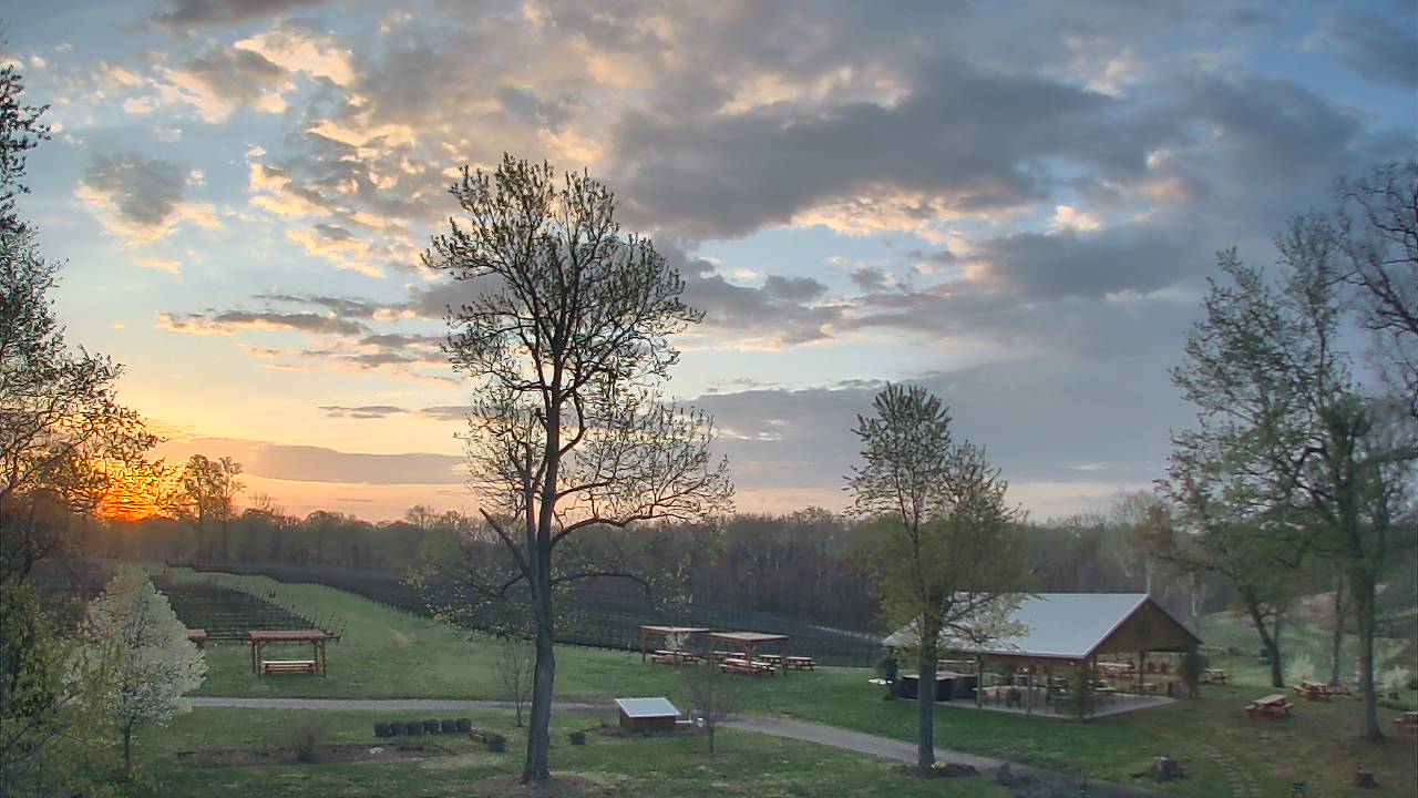 Thumbnail for current weather camera view from Dodon Vineyards in Davidsonville, Maryland
