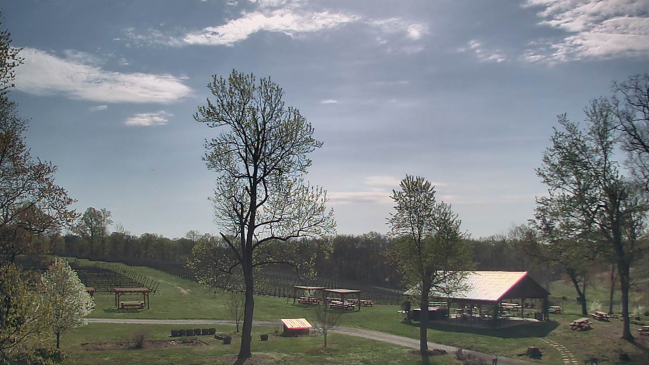 Thumbnail for current weather camera view from Dodon Vineyards in Davidsonville, Maryland
