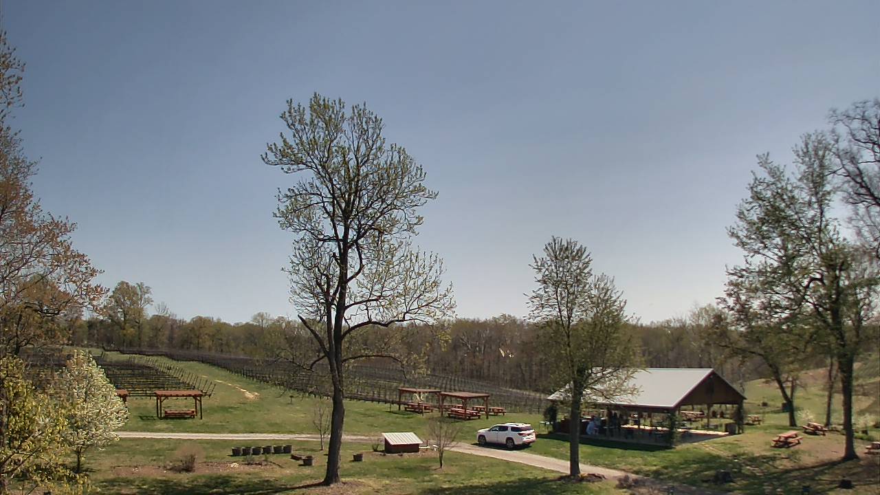 Thumbnail for current weather camera view from Dodon Vineyards in Davidsonville, Maryland