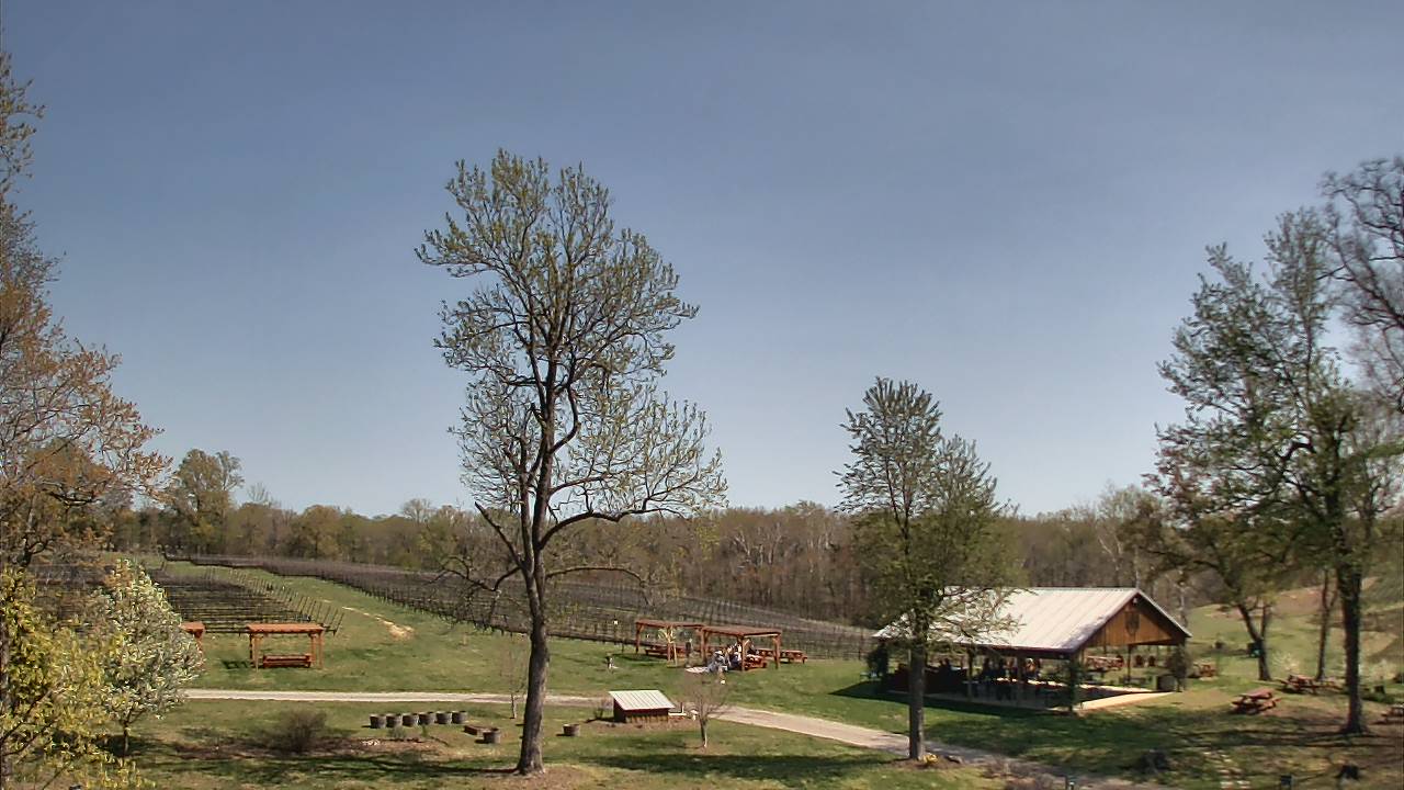 Thumbnail for current weather camera view from Dodon Vineyards in Davidsonville, Maryland