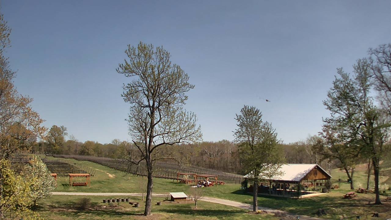 Thumbnail for current weather camera view from Dodon Vineyards in Davidsonville, Maryland