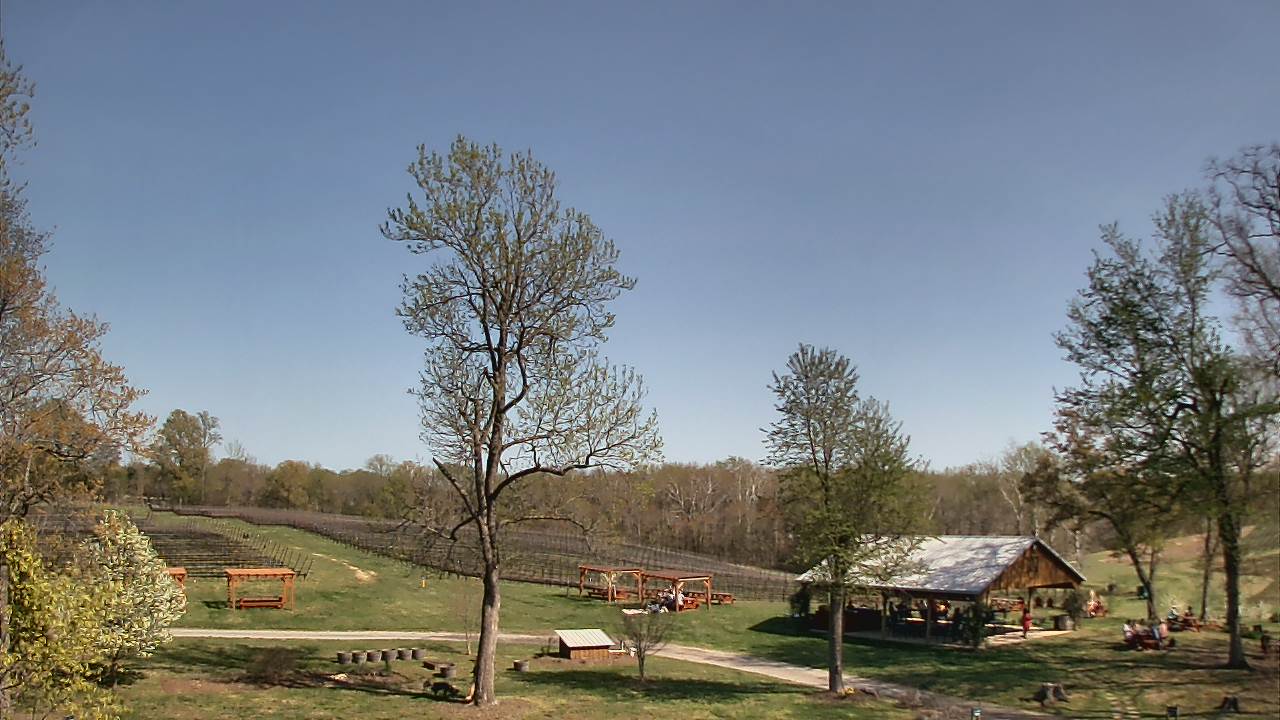 Thumbnail for current weather camera view from Dodon Vineyards in Davidsonville, Maryland