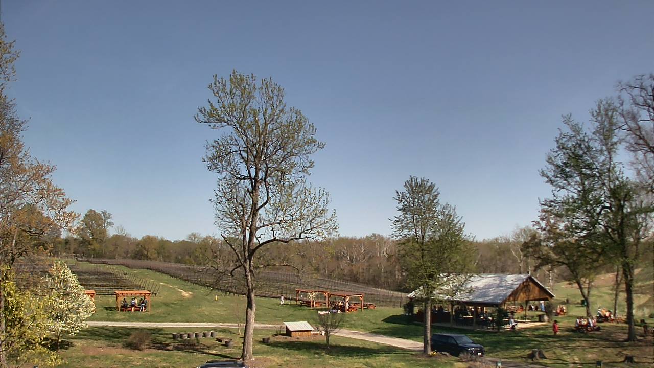 Thumbnail for current weather camera view from Dodon Vineyards in Davidsonville, Maryland