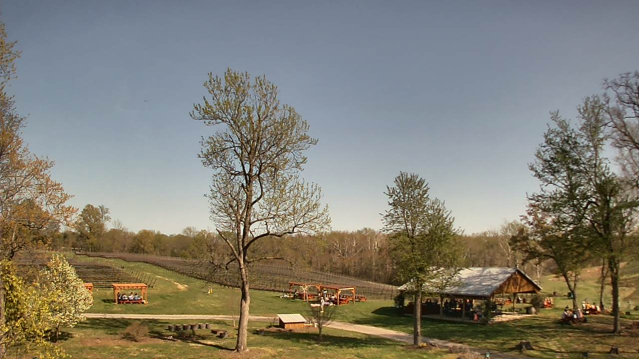 Thumbnail for current weather camera view from Dodon Vineyards in Davidsonville, Maryland