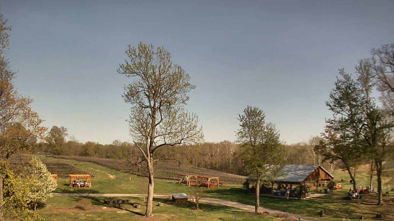Thumbnail for current weather camera view from Dodon Vineyards in Davidsonville, Maryland