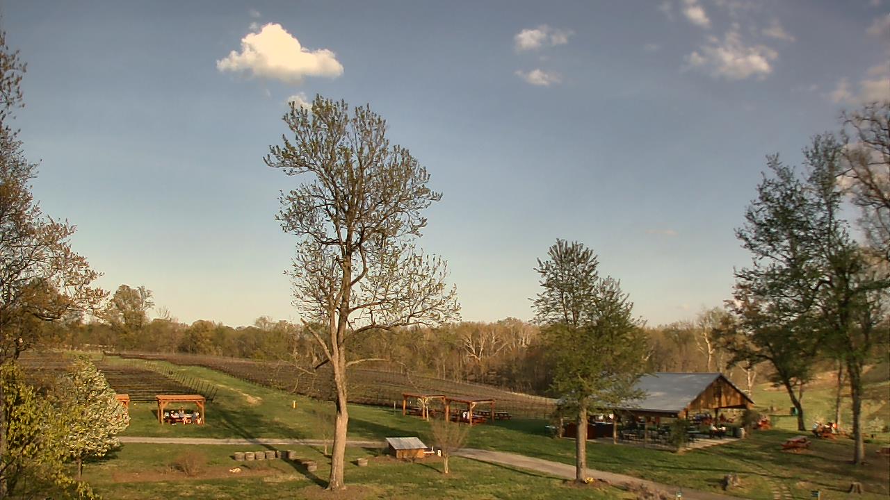 Thumbnail for current weather camera view from Dodon Vineyards in Davidsonville, Maryland