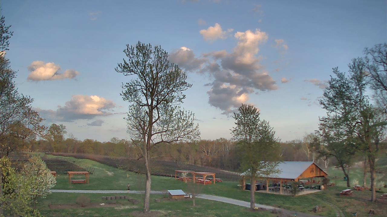 Thumbnail for current weather camera view from Dodon Vineyards in Davidsonville, Maryland