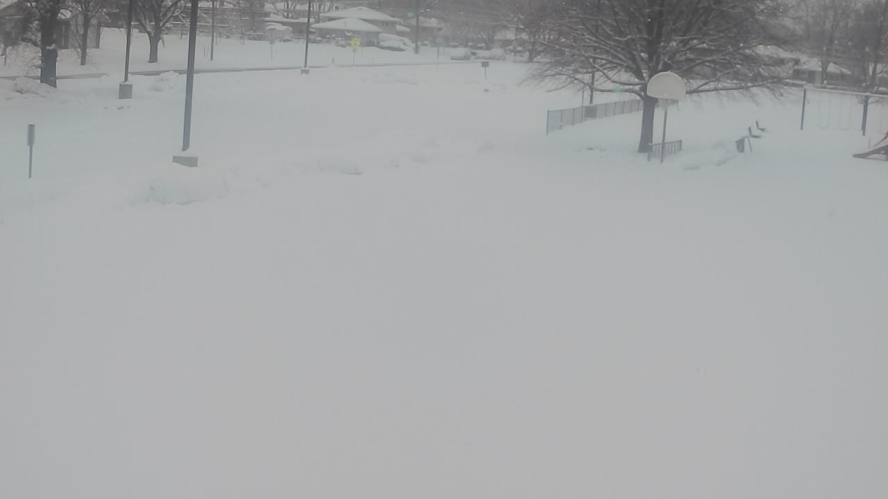 Thumbnail for current weather camera view from Terrace Elementary School in Des Plaines, Illinois