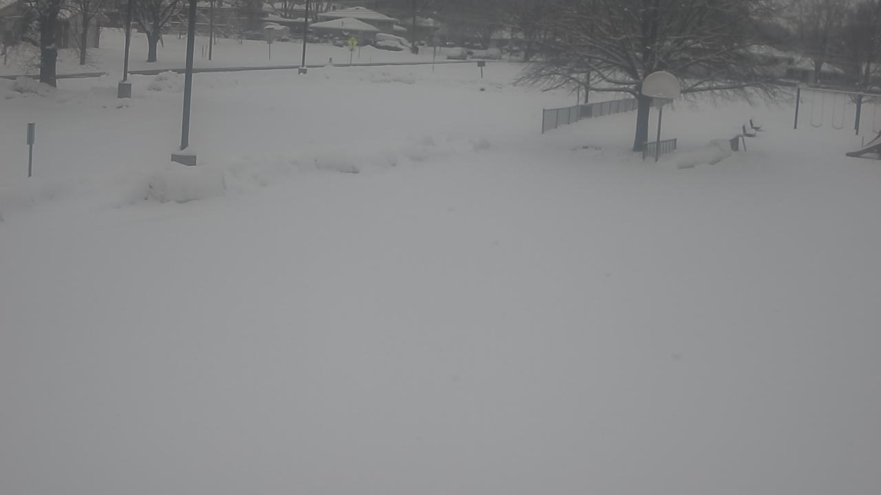 Thumbnail for current weather camera view from Terrace Elementary School in Des Plaines, Illinois