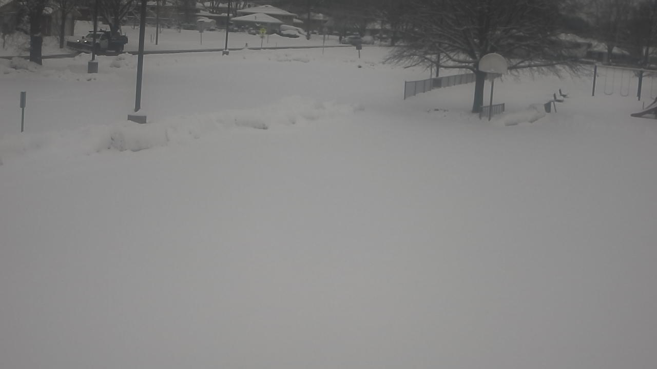 Thumbnail for current weather camera view from Terrace Elementary School in Des Plaines, Illinois