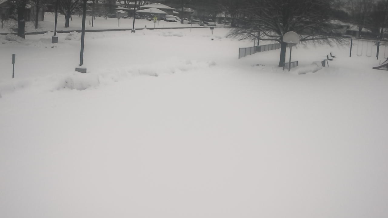 Thumbnail for current weather camera view from Terrace Elementary School in Des Plaines, Illinois