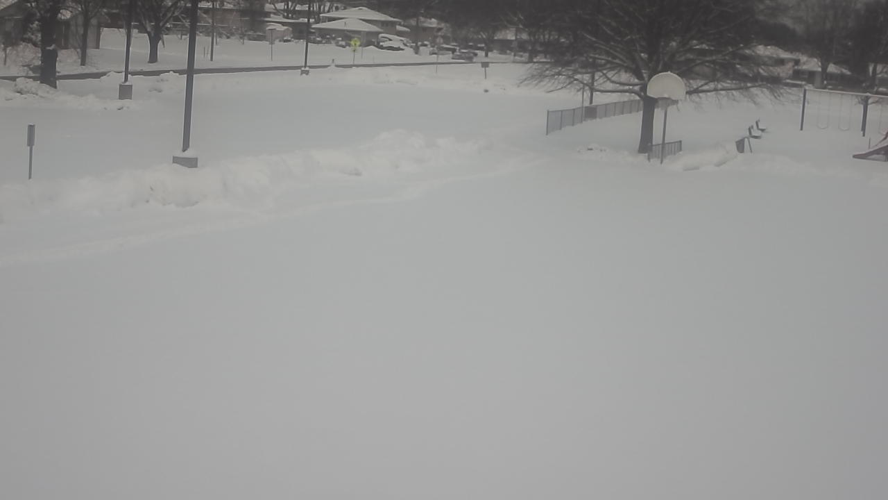 Thumbnail for current weather camera view from Terrace Elementary School in Des Plaines, Illinois