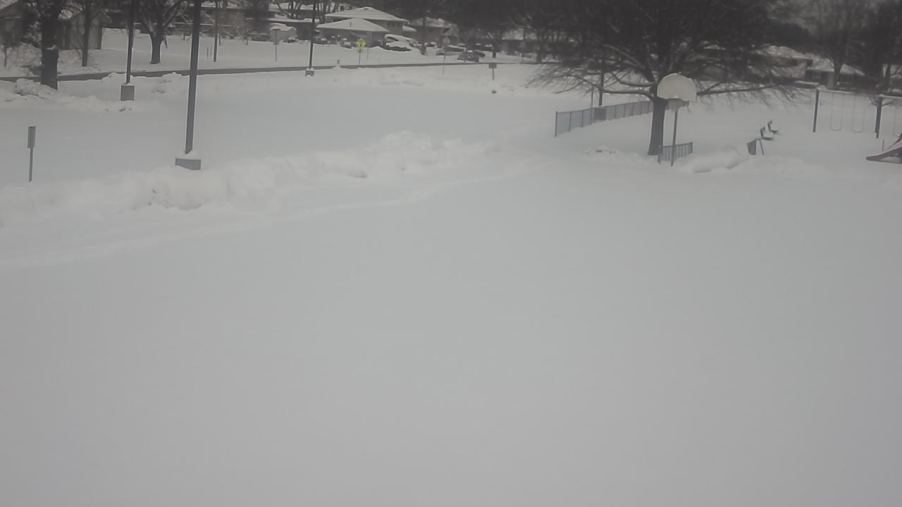 Thumbnail for current weather camera view from Terrace Elementary School in Des Plaines, Illinois