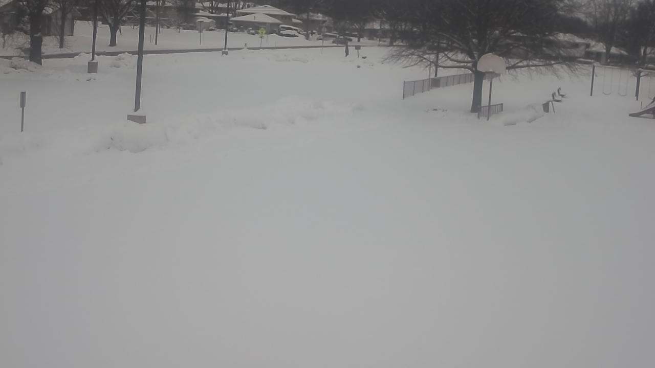 Thumbnail for current weather camera view from Terrace Elementary School in Des Plaines, Illinois