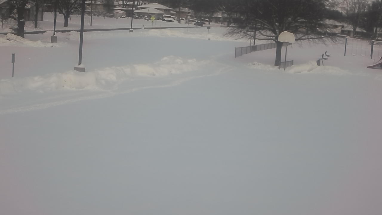 Thumbnail for current weather camera view from Terrace Elementary School in Des Plaines, Illinois