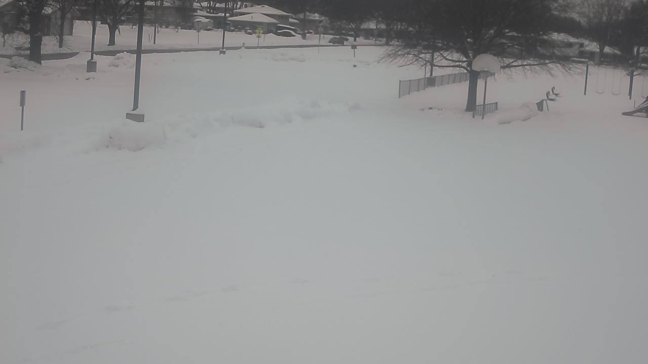 Thumbnail for current weather camera view from Terrace Elementary School in Des Plaines, Illinois