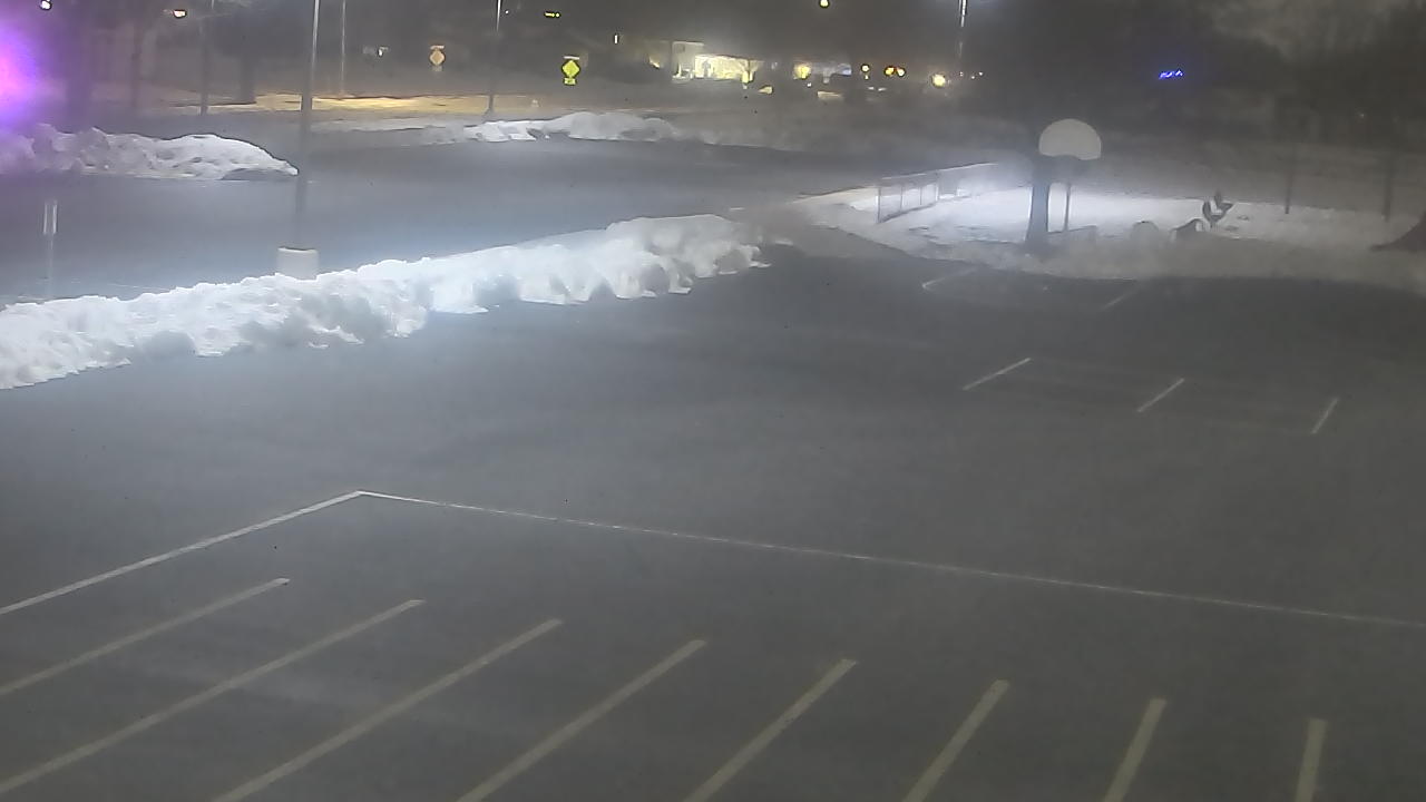 Thumbnail for current weather camera view from Terrace Elementary School in Des Plaines, Illinois