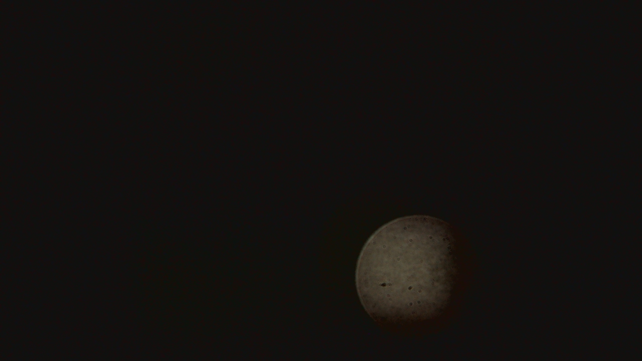Thumbnail for current weather camera view from Dupree School in Dupree, South Dakota