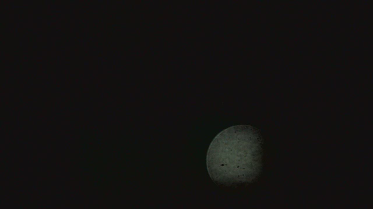 Thumbnail for current weather camera view from Dupree School in Dupree, South Dakota