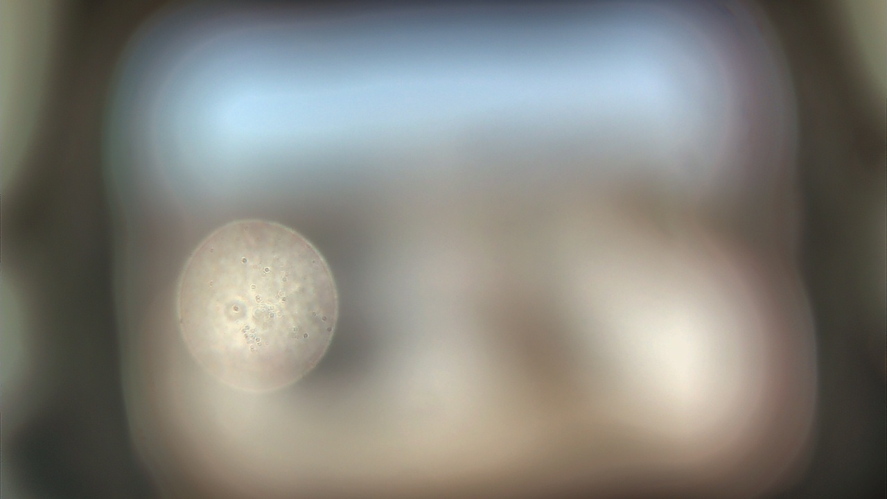 Thumbnail for current weather camera view from Dupree School in Dupree, South Dakota