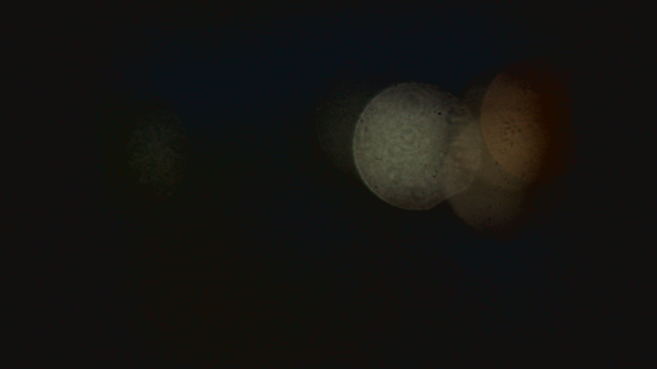 Thumbnail for current weather camera view from Dupree School in Dupree, South Dakota