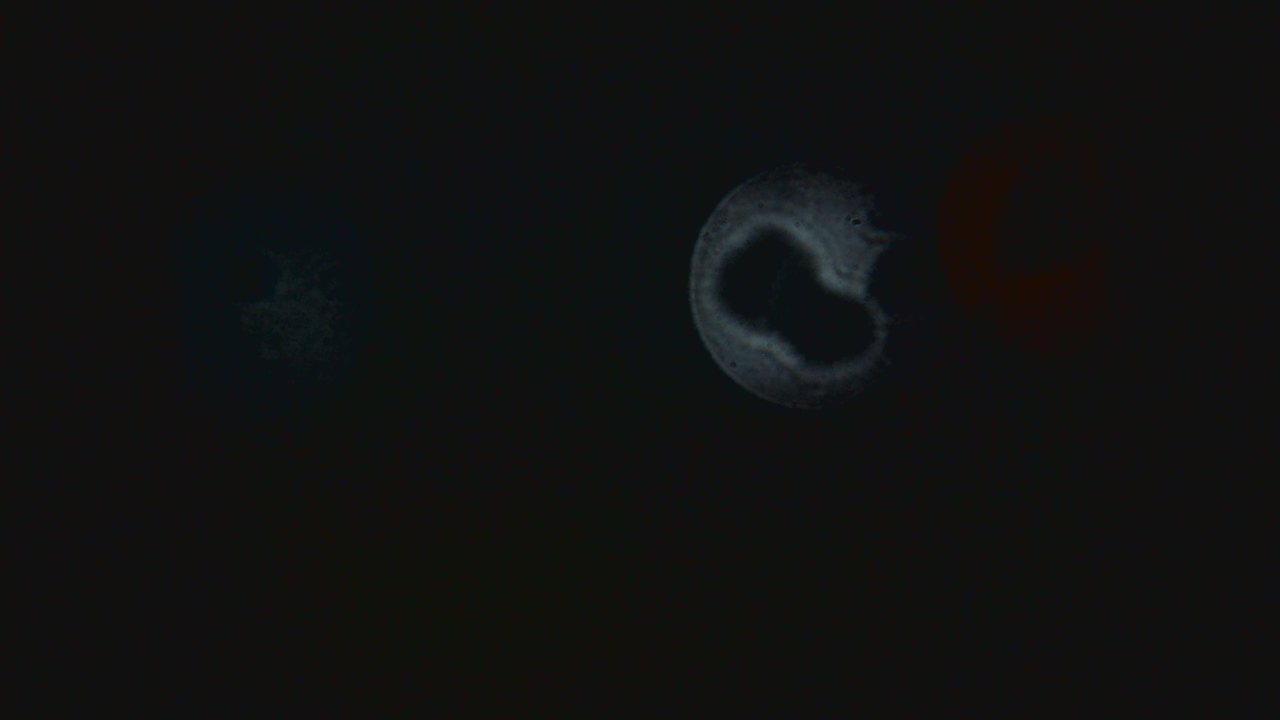 Thumbnail for current weather camera view from Dupree School in Dupree, South Dakota