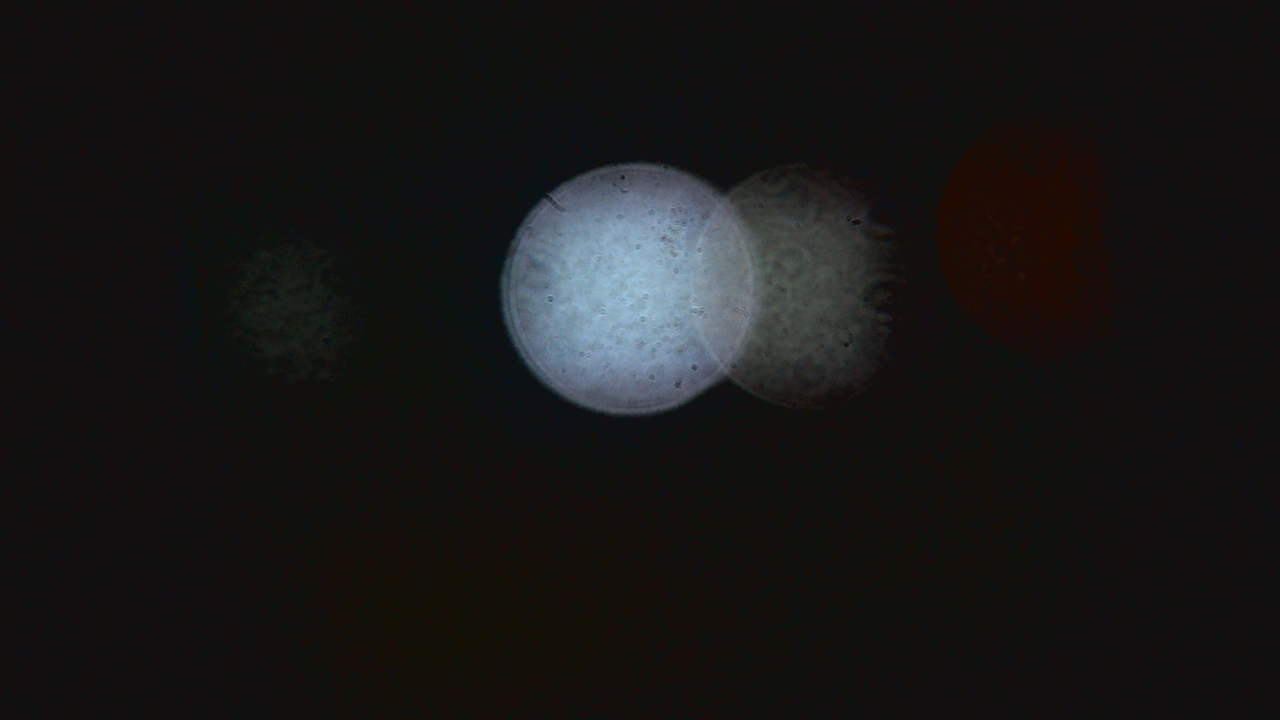 Thumbnail for current weather camera view from Dupree School in Dupree, South Dakota