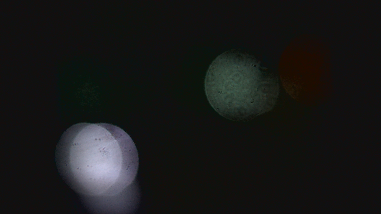 Thumbnail for current weather camera view from Dupree School in Dupree, South Dakota