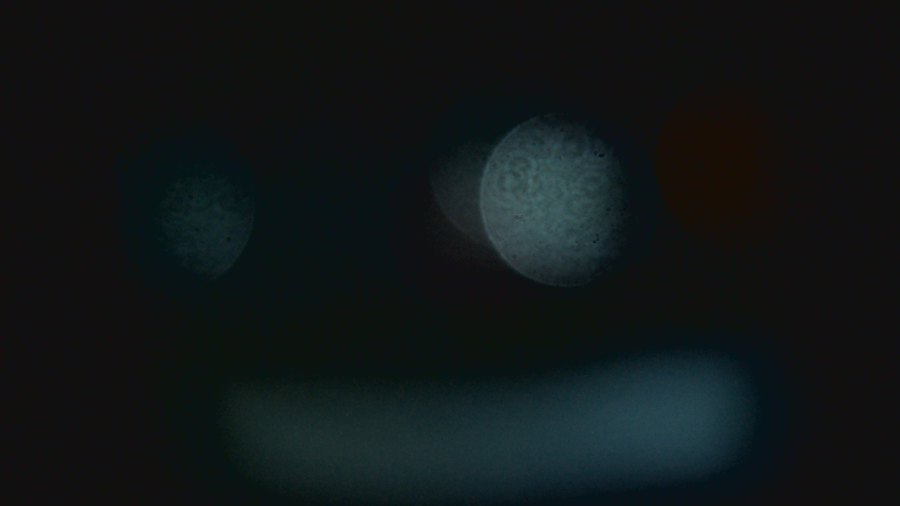 Thumbnail for current weather camera view from Dupree School in Dupree, South Dakota