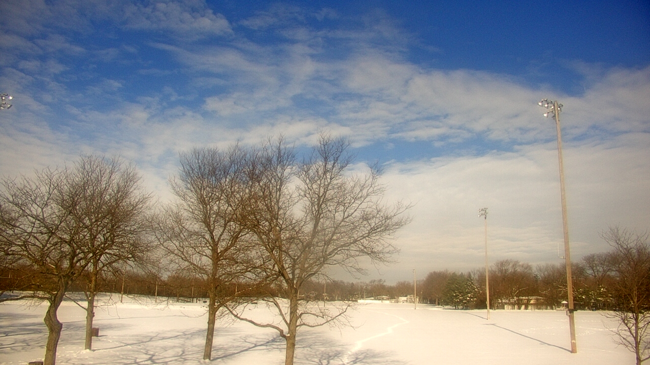 Thumbnail for current weather camera view from Caruso Middle School in Deerfield, Illinois
