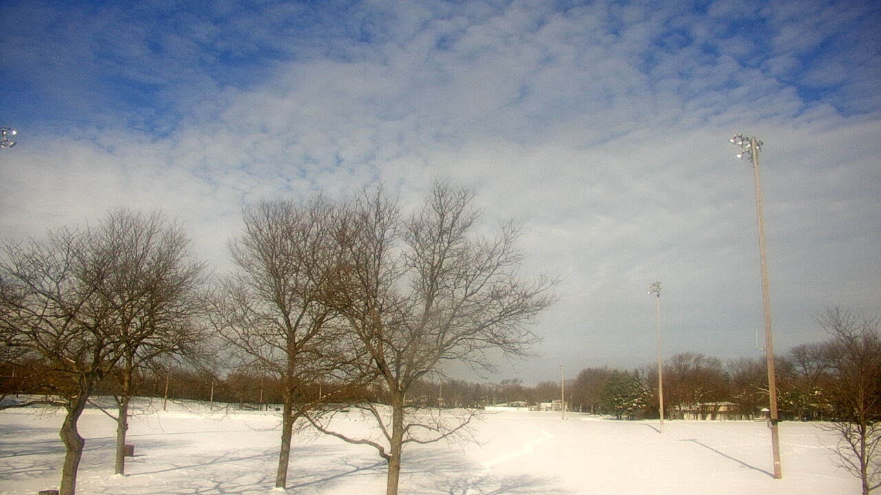 Thumbnail for current weather camera view from Caruso Middle School in Deerfield, Illinois