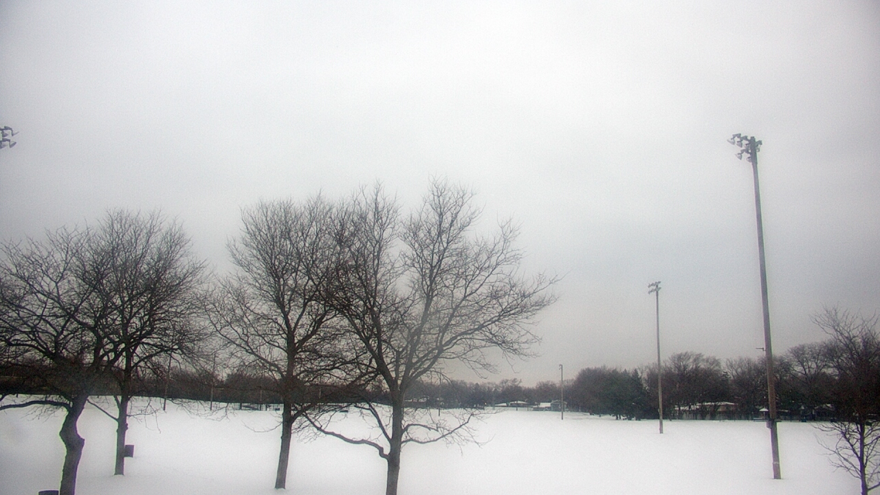 Thumbnail for current weather camera view from Caruso Middle School in Deerfield, Illinois