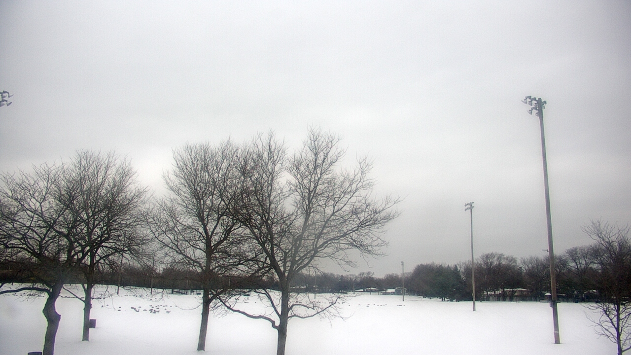 Thumbnail for current weather camera view from Caruso Middle School in Deerfield, Illinois