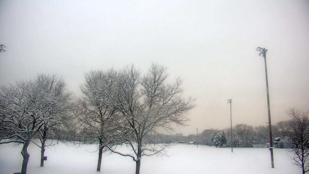 Thumbnail for current weather camera view from Caruso Middle School in Deerfield, Illinois