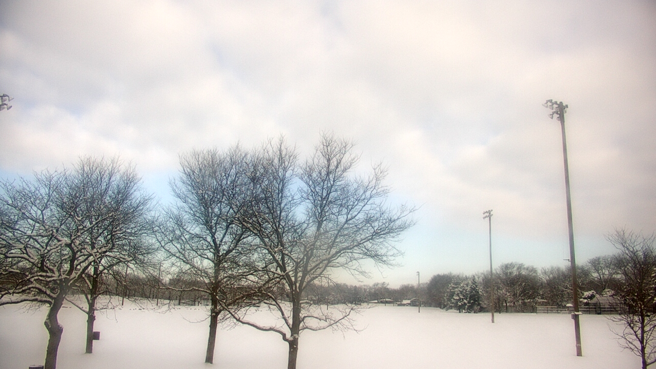 Thumbnail for current weather camera view from Caruso Middle School in Deerfield, Illinois