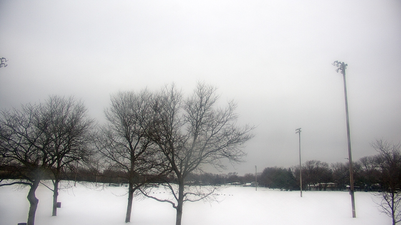 Thumbnail for current weather camera view from Caruso Middle School in Deerfield, Illinois
