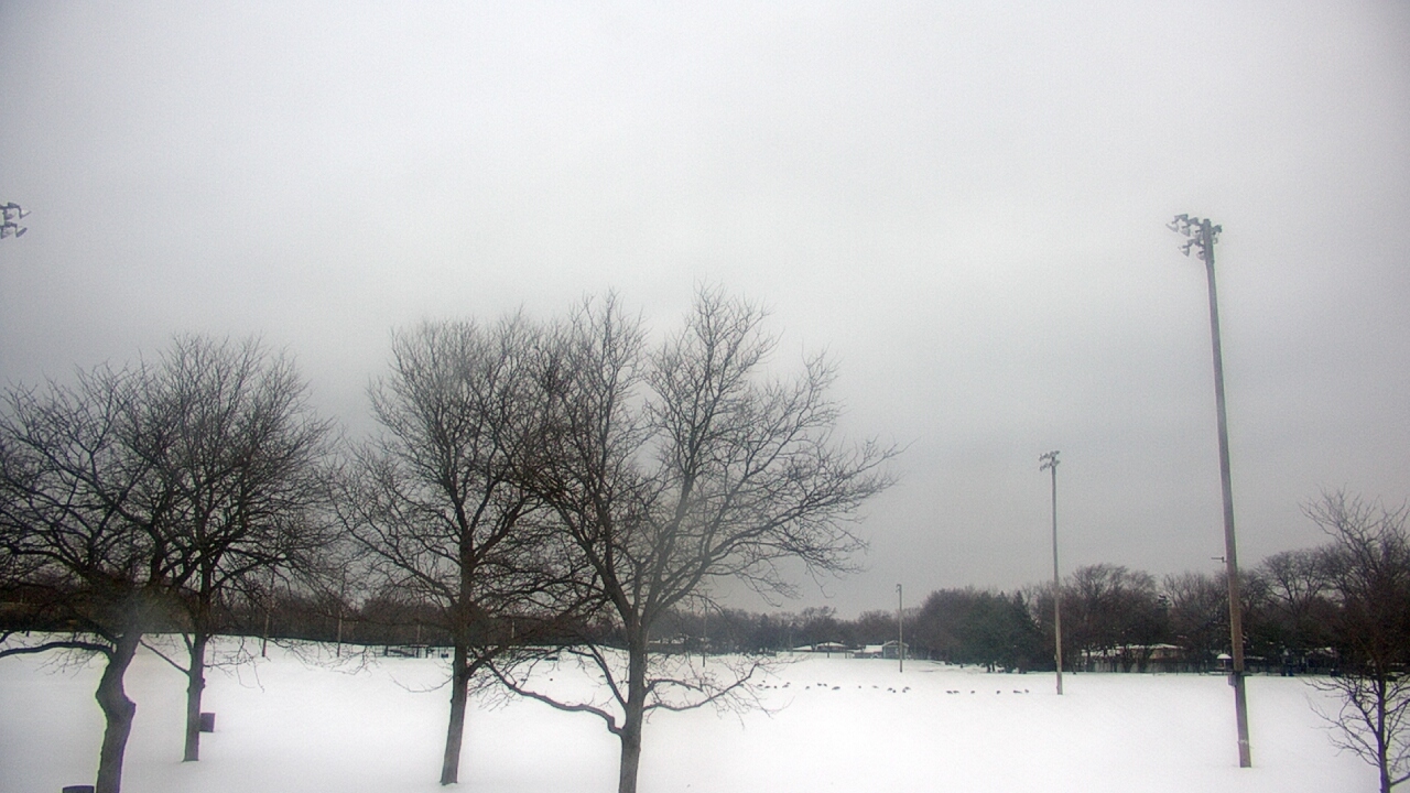 Thumbnail for current weather camera view from Caruso Middle School in Deerfield, Illinois