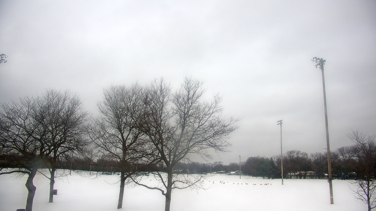 Thumbnail for current weather camera view from Caruso Middle School in Deerfield, Illinois