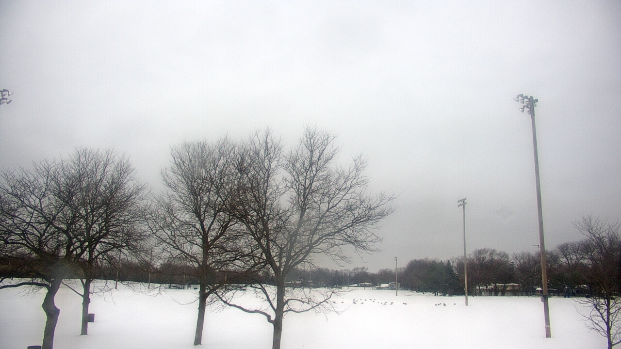 Thumbnail for current weather camera view from Caruso Middle School in Deerfield, Illinois