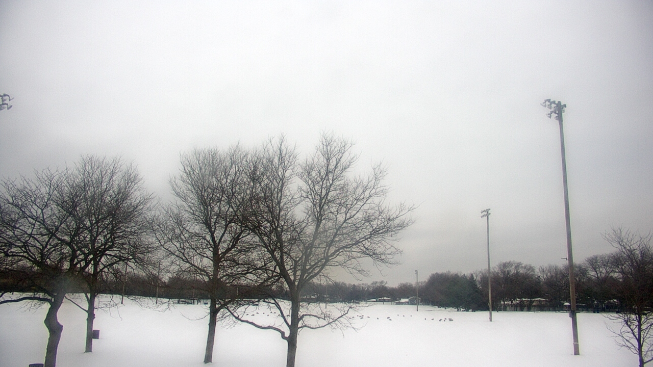 Thumbnail for current weather camera view from Caruso Middle School in Deerfield, Illinois