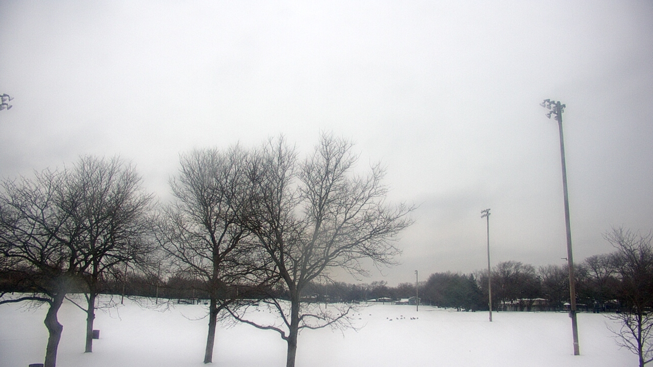 Thumbnail for current weather camera view from Caruso Middle School in Deerfield, Illinois